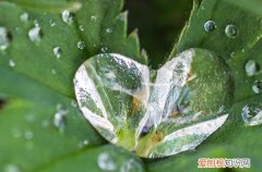 2023入伏和出伏时间