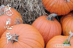 关于感恩节感恩的祝福语