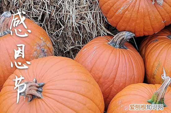 关于感恩节感恩的祝福语