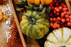 2023感恩节给客户的祝福句子