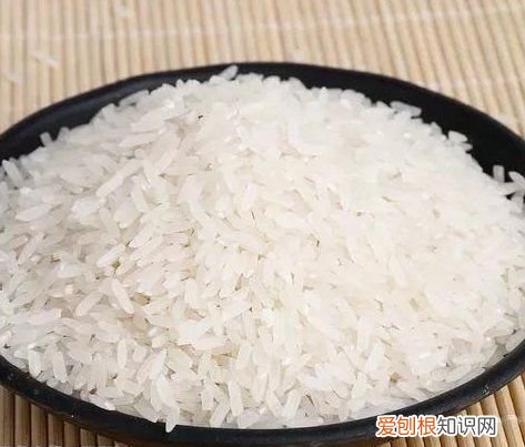 00元钱如何过到下个月，大学生一个月1000元够吗?