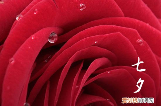 2023七夕节祝福语言简洁