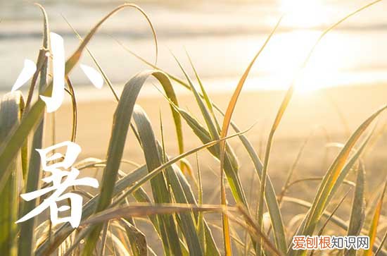 2023年小暑是几月几号 具体是几点几分几秒钟交节