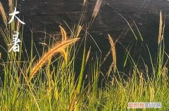 2023年大暑是农历几月几日