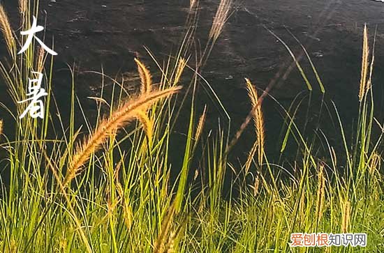 2023年大暑是农历几月几日