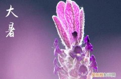 今年大暑是几月几日几点几分2023