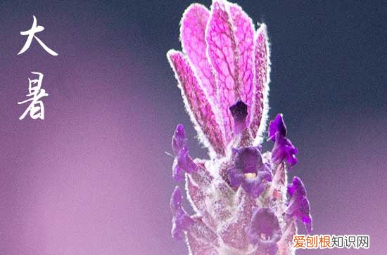 今年大暑是几月几日几点几分2023