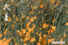 2023年大暑是几月几日星期几几点