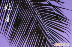 2023年处暑时间几点几分几秒钟