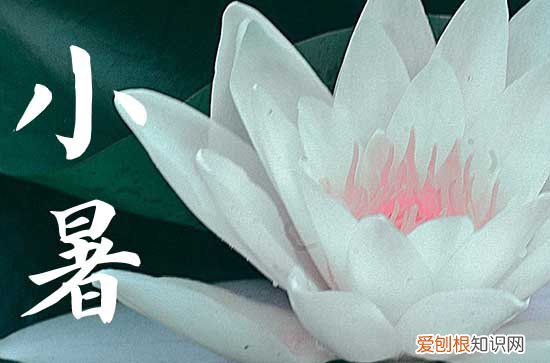 2023年小暑是入伏第一天么