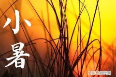 2023年小暑是几月几号,2023年小暑是几月几日