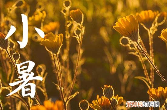 2023年小暑是什么时候,2023年小暑是几月几日