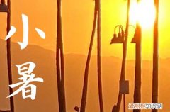 2023年小暑之后几天入伏