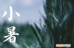 2023年哪天是小暑节气