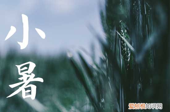 2023年哪天是小暑节气