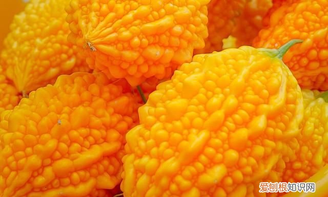 糖尿病吃苦瓜有什么好处?,苦瓜瓤泡水喝对糖尿病有什么好处