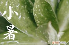 小暑是什么意思含义