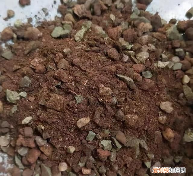 便宜还好用的椰糠营养土