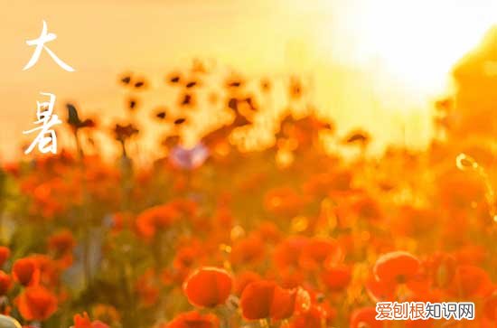 大暑热还是处暑热