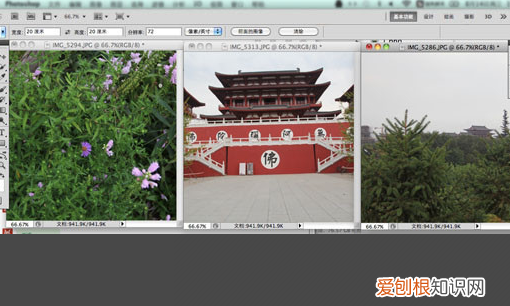 PS要怎么样批量裁剪