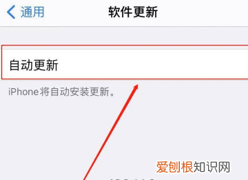 苹果手机如何关闭App自动更新，苹果手机怎么关闭软件自动更新