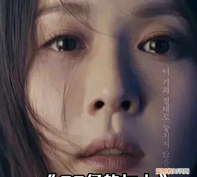 姐妹争财第14集,财产之争第11集