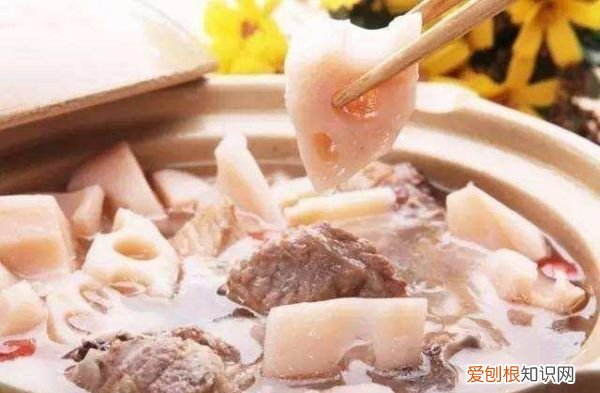 羊肉炖莲藕的做法,羊肉莲藕汤的做法及配料窍门