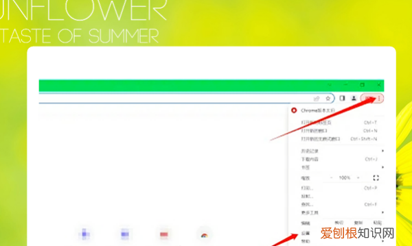 谷歌浏览器如何清理缓存，谷歌浏览器要怎么清除缓存