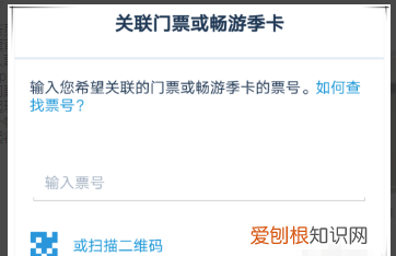 上海迪斯尼app怎么用，上海迪士尼度假区app最新版本