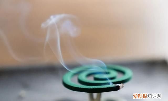 蚊香有毒,为什么我们还是推荐你用呢