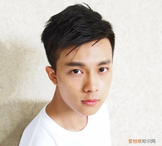 蚊香有毒,为什么我们还是推荐你用呢