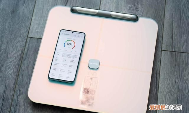 yolanda体脂秤和云康宝哪个好