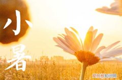 小暑节气唯美句子60句