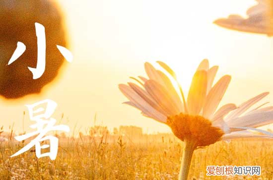 小暑节气唯美句子60句