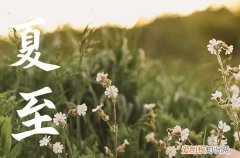 2023年今天几点钟夏至