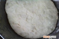 羊肉白菜面的做法，大白菜和羊肉可以做饺子馅吗