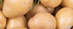 广东土豆什么时候种最合适 土豆什么时候种最合适
