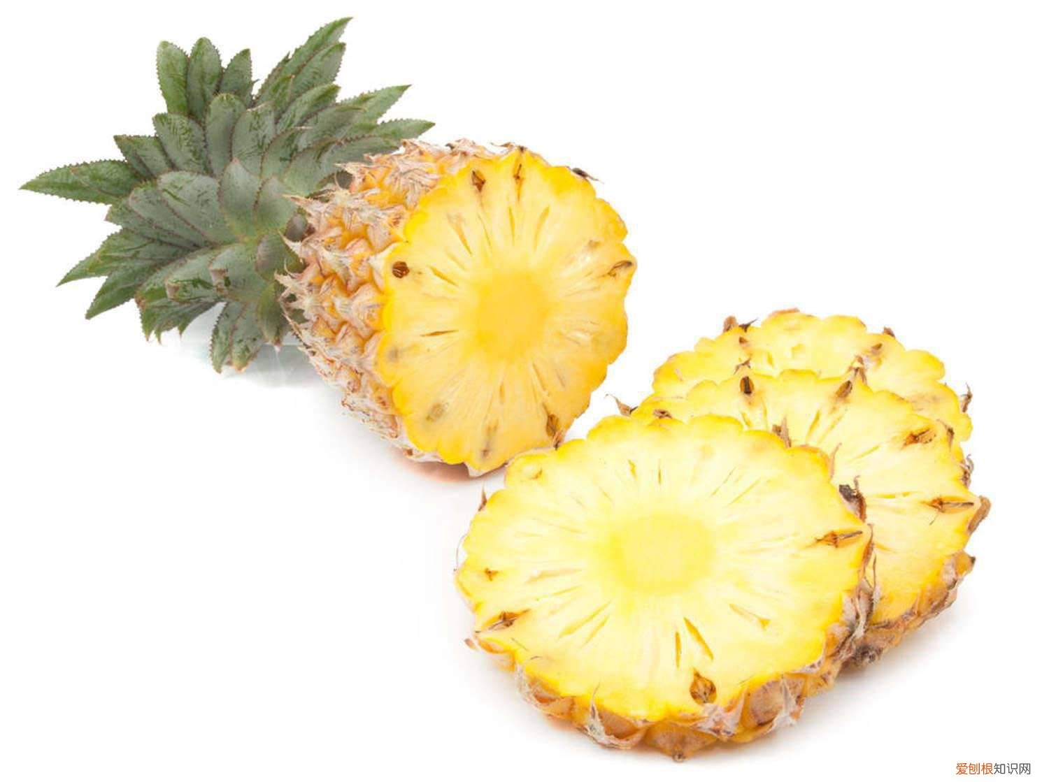 菠萝啥时候种植 菠萝种植，什么时候种植