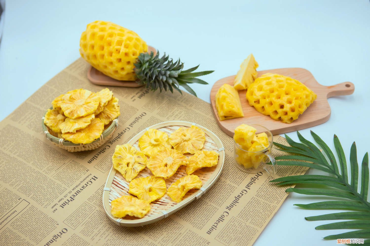 种菠萝头的方法,多久能长菠萝根 种菠萝头的方法，多久能长菠萝