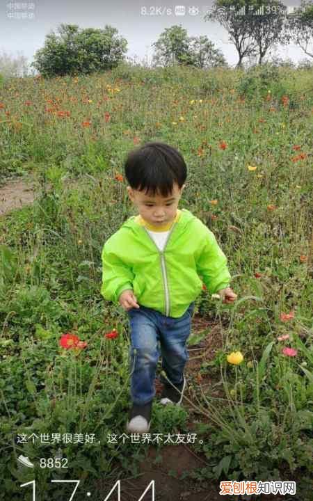 如何让手机屏幕显示步数,锁屏运动步数显示怎么设置华为