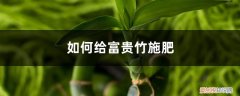 富贵竹施什么肥料好 富贵竹施肥方法，用什么肥好