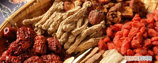 沙参有什么功效和作用 沙参有什么功效