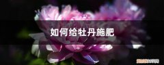 牡丹应该施什么肥 牡丹施肥方法，用什么肥好