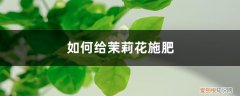 茉莉花需施什么肥 茉莉花施肥方法，用什么肥好