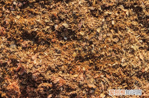 图 锯木屑怎么发酵 碎木头发酵种花效果如何