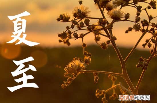 2023年夏至这一天应该吃什么