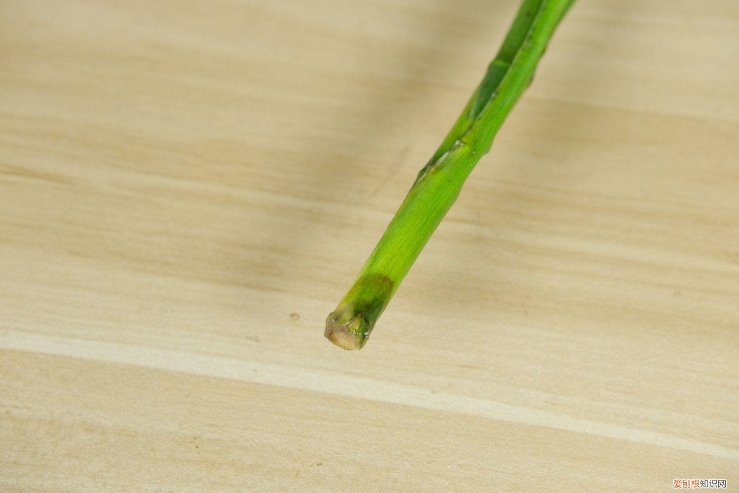 水培富贵竹用什么水养 富贵竹水培怎么养殖，怎么水养肥壮