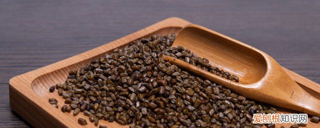 决明子的功效是啥 决明子的功效是什么