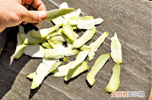 怎么用厨房的垃圾做花肥 一天一斤厨余,一年365斤,省去扛土之苦