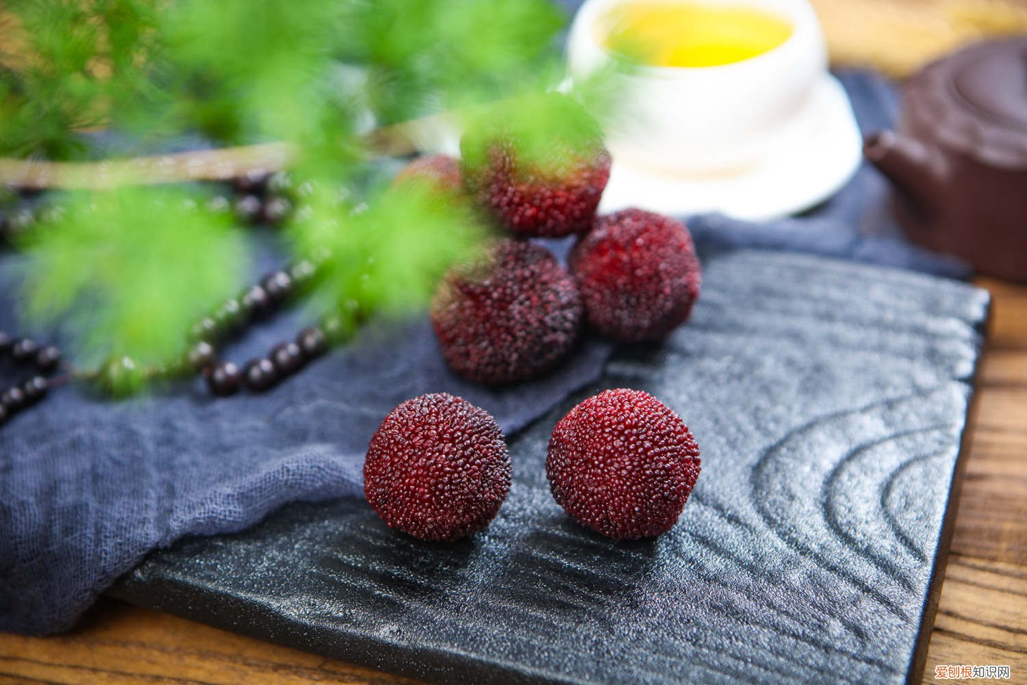 杨梅适合北方种植吗,如何种植盆栽呢 杨梅适合北方种植吗，如何种植盆栽